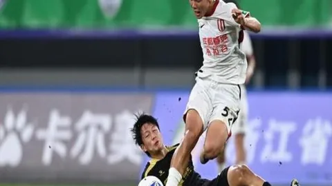 开云网站 111545
