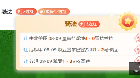 开云网站 060438